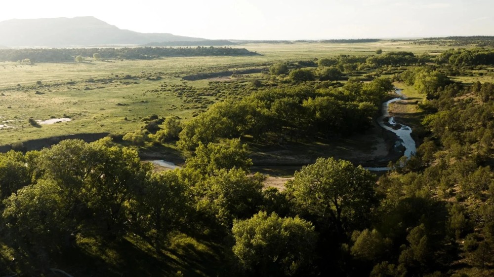 Dawson Elk Valley Ranch featured image