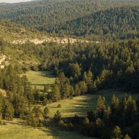 Dawson Elk Valley Ranch images 4