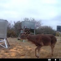 Kasowski Ranch (Corporate Leasing Available)