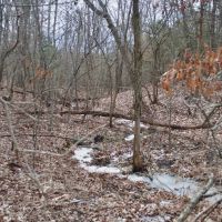 Pilot Knob Escape images 2