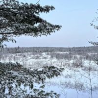 60 acre 4 Season Hunting Land Wilna NY