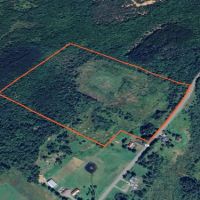 60 acre 4 Season Hunting Land Wilna NY images 4