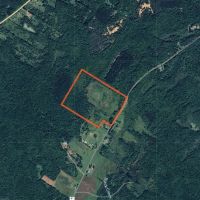 60 acre 4 Season Hunting Land Wilna NY images 5
