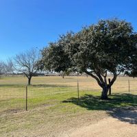 12 acres Home Barn Weimar TX Fayette County images 3