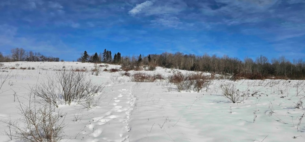63 acres Farm Fields Woodlands and Stream in Smyrna NY 911 NY-80 featured image
