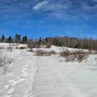 63 acres Farm Fields Woodlands and Stream in Smyrna NY 911 NY-80