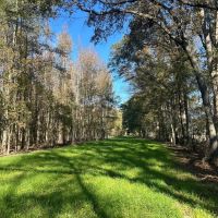 220 Acres in Issaquena County MS