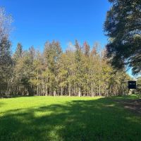 220 Acres in Issaquena County MS images 2