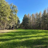 220 Acres in Issaquena County MS images 4