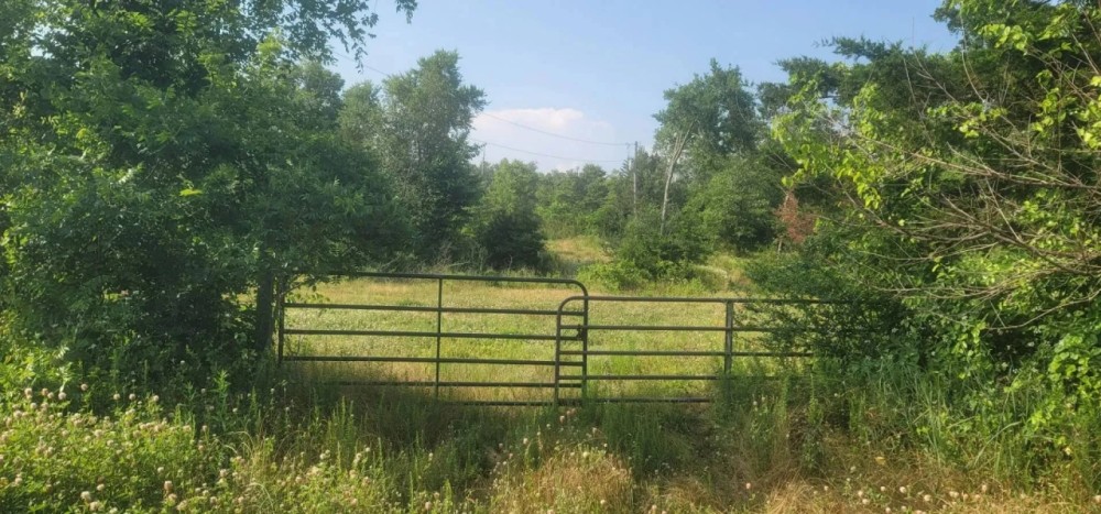COUGAR RIDGE RANCH - SUPREME HUNTING LAND - NEW PRICE featured image