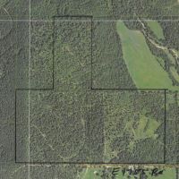 COUGAR RIDGE RANCH - SUPREME HUNTING LAND - NEW PRICE images 2