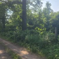 COUGAR RIDGE RANCH - SUPREME HUNTING LAND - NEW PRICE images 4