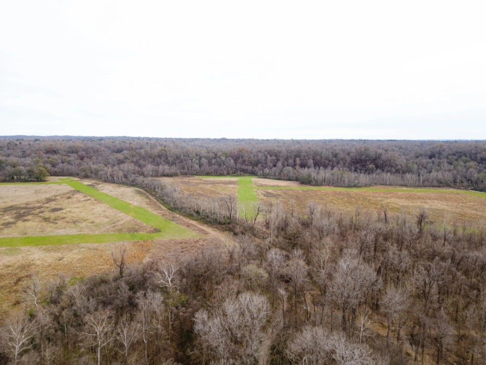 One Equity at Share Southside Land Company LLC in Jefferson County MS featured image