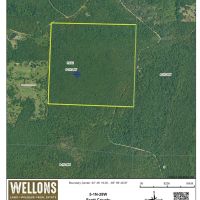 Ouachita Forest 148 images 2