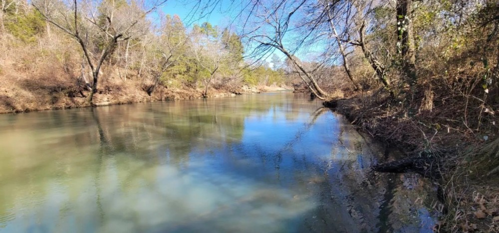 71.2 ACRES LITTLE RIVER FRONTAGE featured image