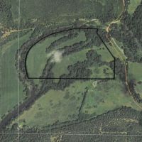 71.2 ACRES LITTLE RIVER FRONTAGE images 2