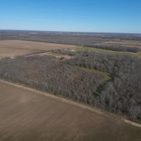 LA - Richland 39.4 acres - images 2
