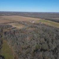 LA - Richland 39.4 acres - images 3