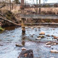 Klenn Cattle Farm images 3