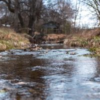 Klenn Cattle Farm images 4