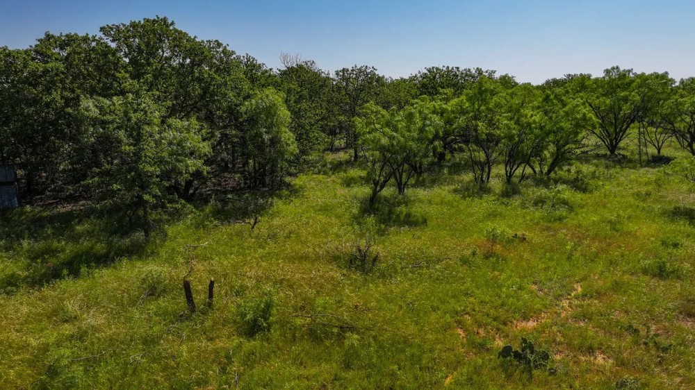 Oak Hollow Ranch featured image