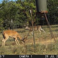 Oak Hollow Ranch images 2