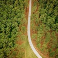 A Home on 69.26 Acres in Lafayette County MS images 4