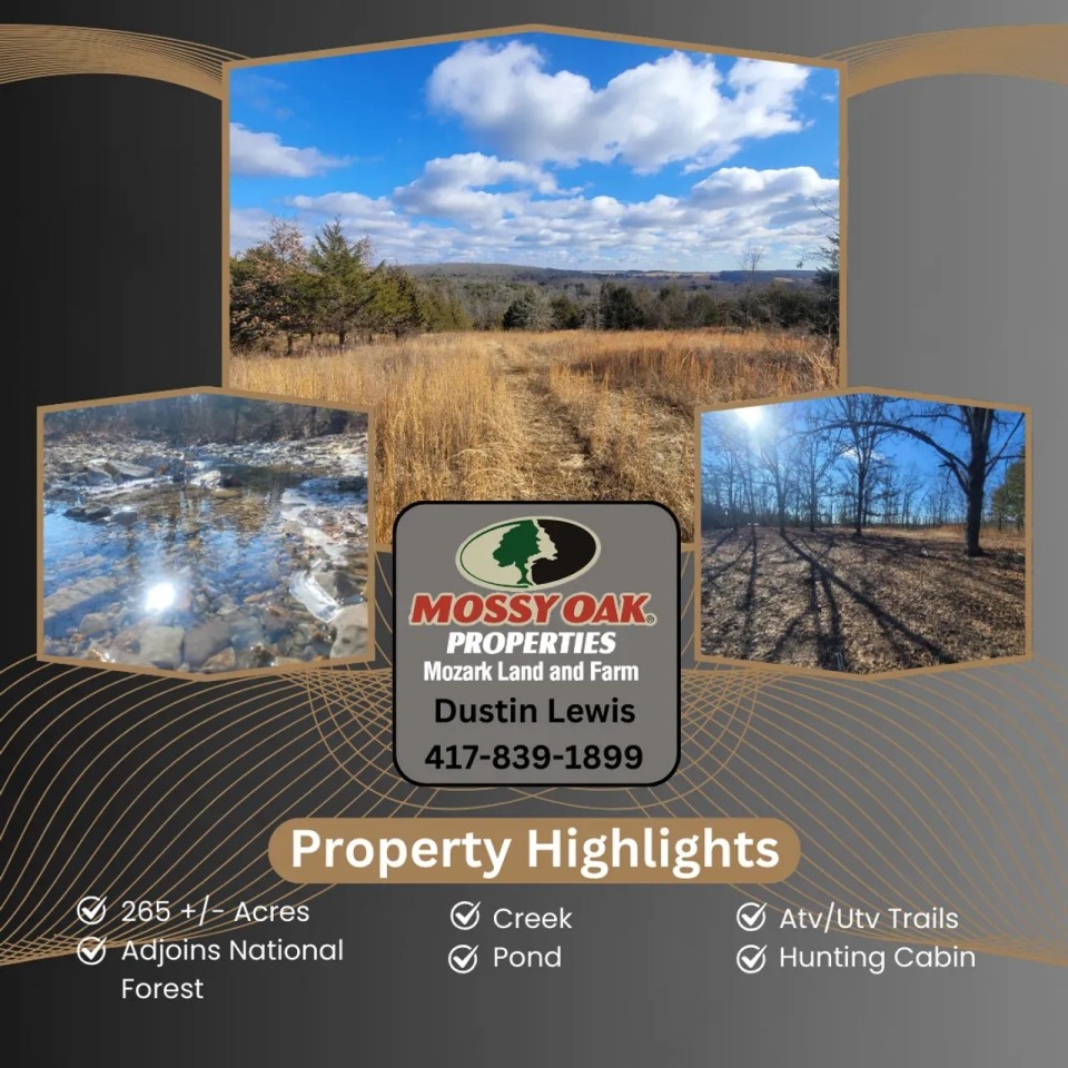 Recreational Delight featured image