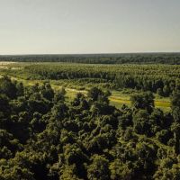 One Equity Share With a Cabin in Chicot County AR images 5