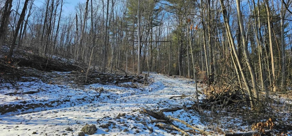 23 acres Wooded Hunting Land and Recreational Land in Elmira NY Jenkins Rd featured image