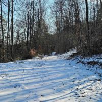 23 acres Wooded Hunting Land and Recreational Land in Elmira NY Jenkins Rd images 2