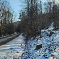 23 acres Wooded Hunting Land and Recreational Land in Elmira NY Jenkins Rd images 5