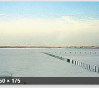 31,420 acres Great Salt Plains Lake Deer Hunting Land in Alfalfa County, Ok images 6
