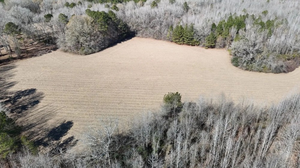 43 Acres in Lawrence County in Monticello MS featured image