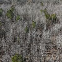 43 Acres in Lawrence County in Monticello MS images 2