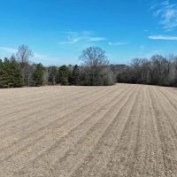 43 Acres in Lawrence County in Monticello MS images 4