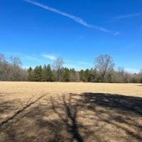 43 Acres in Lawrence County in Monticello MS images 5