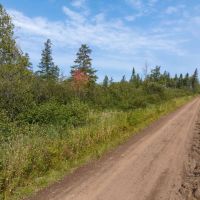 Land for Sale in Ashland County Wisconsin images 3