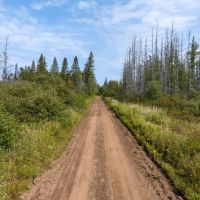 Land for Sale in Ashland County Wisconsin images 4