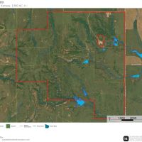 1300 Acres of World Class Whitetail Quail Hunting in Unit 16 - Sharon Kansas images 3