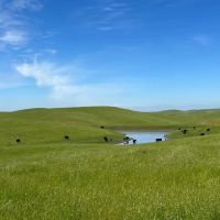 Redington Ranch