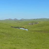 Redington Ranch images 4
