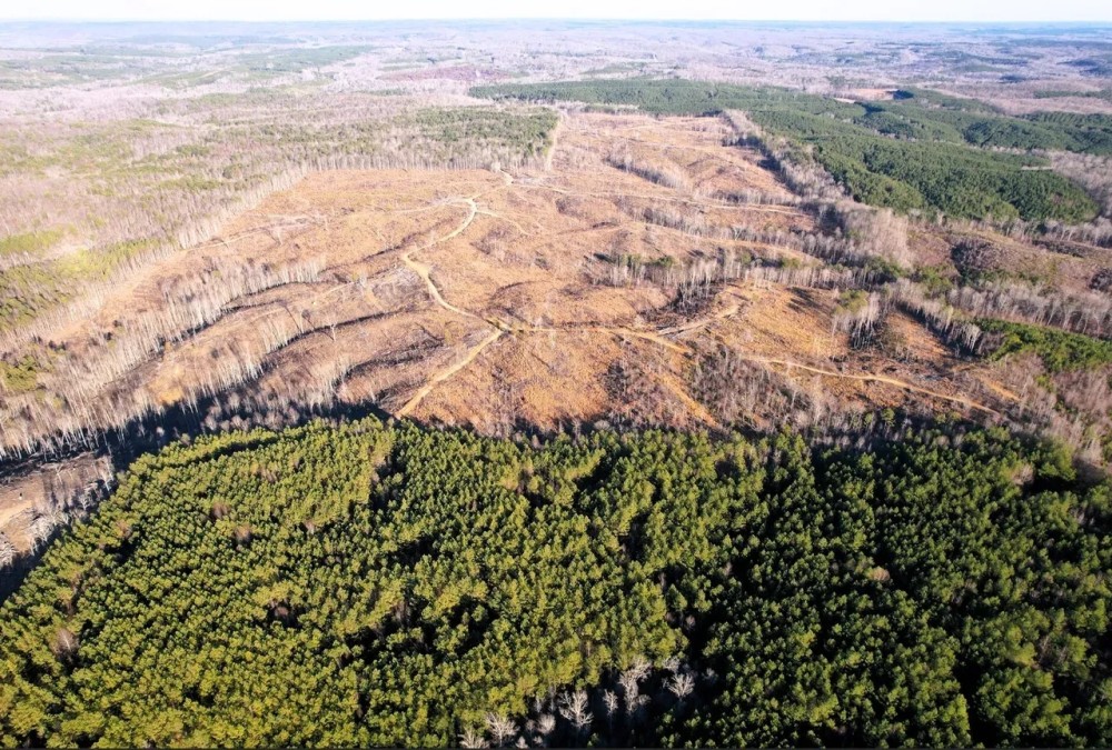 Buddy Durham Road 231 Acres featured image
