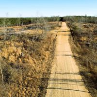 Buddy Durham Road 231 Acres images 2