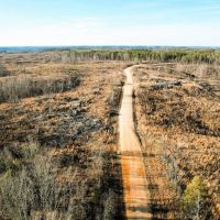 Buddy Durham Road 231 Acres images 3