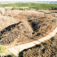 Buddy Durham Road 231 Acres images 4