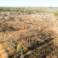 Buddy Durham Road 231 Acres images 5
