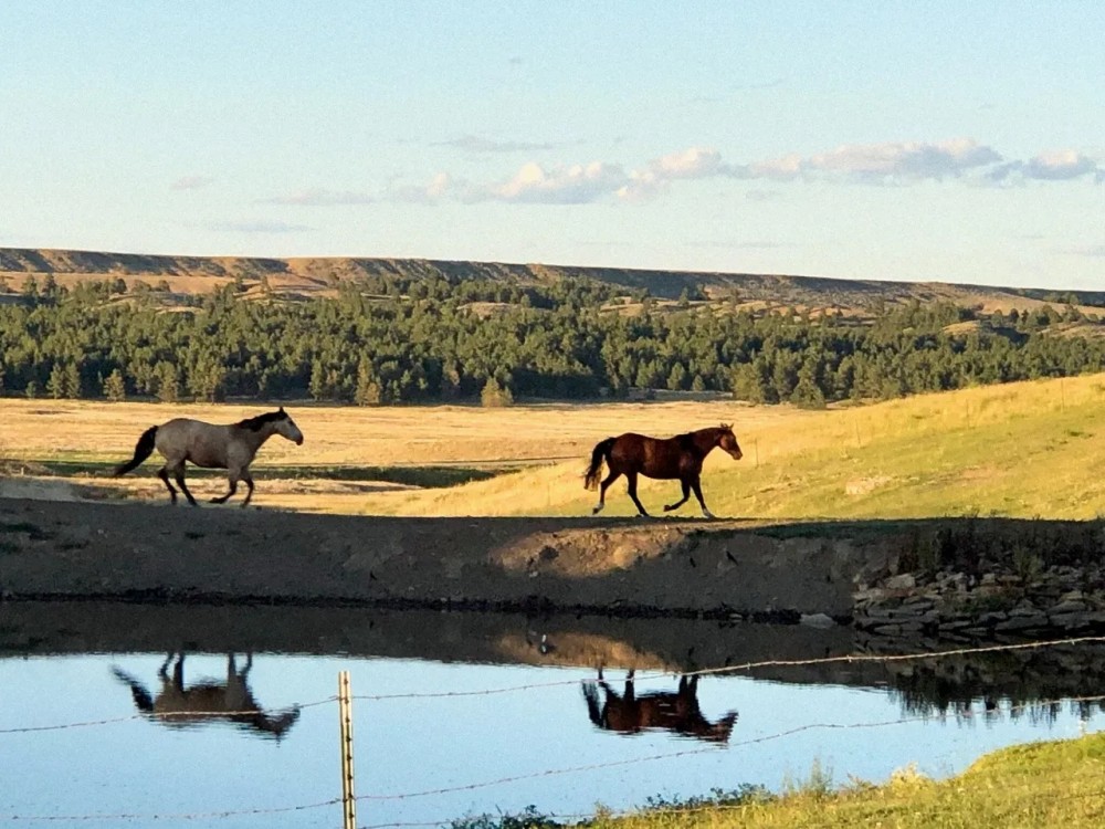 MA BAR Ranch 280 featured image
