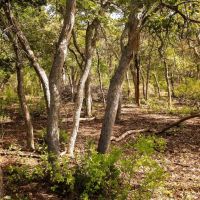 Arledge Family Ranch images 4