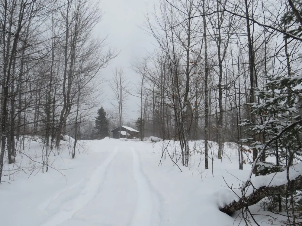 Michigan Recreational Property 50165363 featured image
